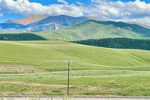 190 Shannon Pl, Divide, CO 80814 - Photo 28