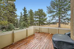 190 Shannon Pl, Divide, CO 80814 - Photo 22