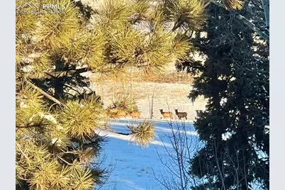 190 Shannon Place, Divide, CO 80814 - Photo 26