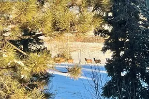 190 Shannon Pl, Divide, CO 80814 - Photo 26