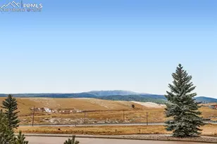 190 Shannon Pl, Divide, CO 80814 - Photo 24