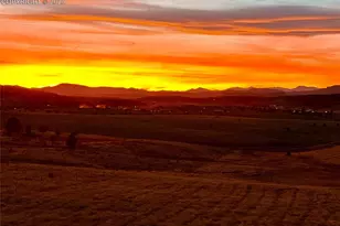 190 Shannon Pl, Divide, CO 80814 - Photo 32