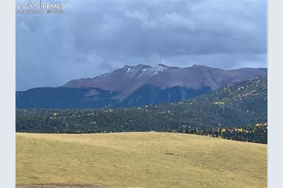 190 Shannon Place, Divide, CO 80814 - Photo 30