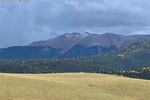 190 Shannon Pl, Divide, CO 80814 - Photo 30