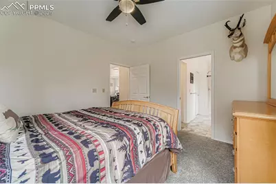 190 Shannon Place, Divide, CO 80814 - Photo 16