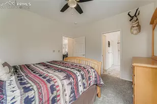 190 Shannon Pl, Divide, CO 80814 - Photo 16