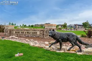 9439 Jollity Pt, Colorado Springs, CO 80924 - Photo 50