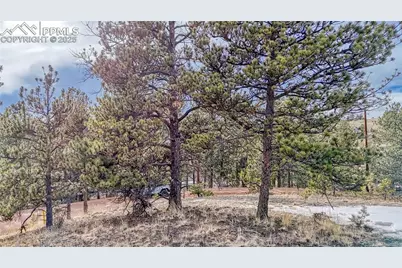 1486 S Mountain Estates Road, Florissant, CO 80816 - Photo 18