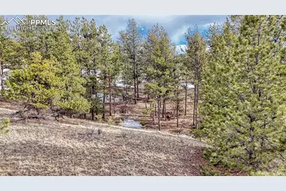 1486 S Mountain Estates Road, Florissant, CO 80816 - Photo 6
