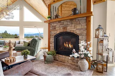 205 Eagleview Circle, Florissant, CO 80816 - Photo 8