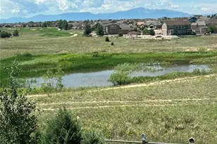 10952 Torreys Peak Way, Peyton, CO 80831 - Photo 46