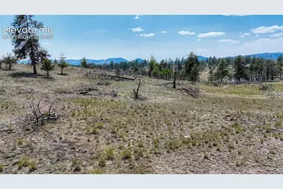 617 Chateau Vista, Florissant, CO 80816 - Photo 6
