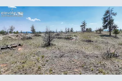 617 Chateau Vista, Florissant, CO 80816 - Photo 2