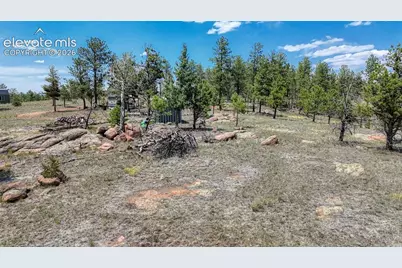 617 Chateau Vista, Florissant, CO 80816 - Photo 8