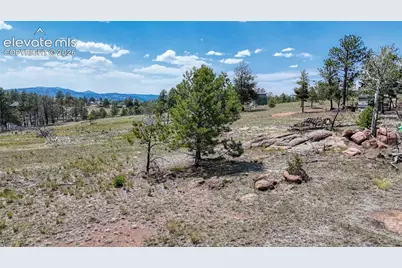 617 Chateau Vista, Florissant, CO 80816 - Photo 4