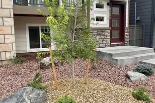 6156 Steele Creek Way, Colorado Springs, CO 80922 - Photo 2