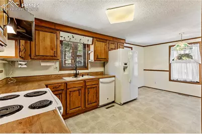 1828 Sioux Road, Florissant, CO 80816 - Photo 12