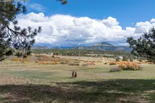1828 Sioux Rd, Florissant, CO 80816 - Photo 38