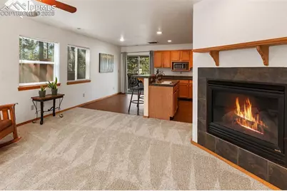 509 Dallas Alley, Woodland Park, CO 80863 - Photo 4