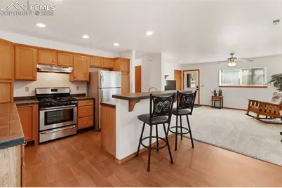 509 Dallas Alley, Woodland Park, CO 80863 - Photo 10