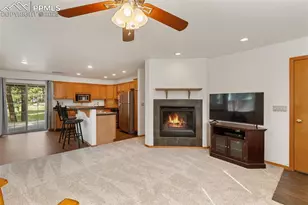 509 Dallas Alley, Woodland Park, CO 80863 - Photo 26