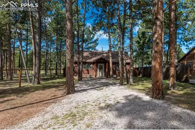 509 Dallas Alley, Woodland Park, CO 80863 - Photo 28