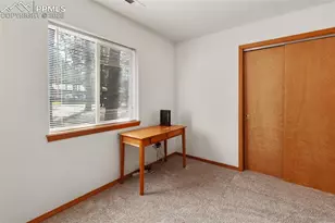 509 Dallas Alley, Woodland Park, CO 80863 - Photo 16