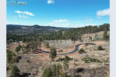 1300 Blue Haven Place, Woodland Park, CO 80863 - Photo 4