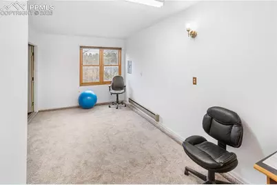 36 Illini Drive, Woodland Park, CO 80863 - Photo 28
