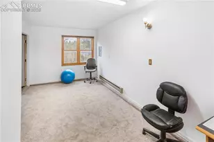 36 Illini Dr, Woodland Park, CO 80863 - Photo 28
