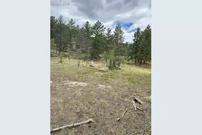 155 County Road 403, Florissant, CO 80816 - Photo 2