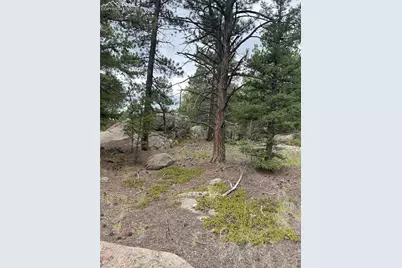 155 County Road 403, Florissant, CO 80816 - Photo 4