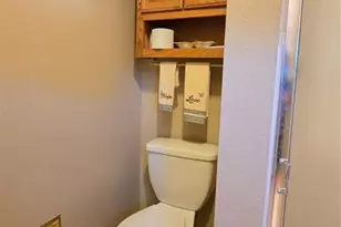 7231 S Webster St, Littleton, CO 80128 - Photo 16