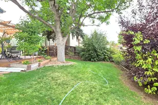 7231 S Webster St, Littleton, CO 80128 - Photo 40