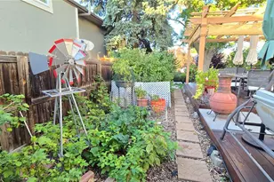 7231 S Webster St, Littleton, CO 80128 - Photo 42