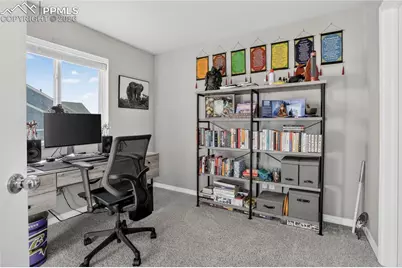 478 Gray Horse Alley, Colorado Springs, CO 80905 - Photo 22