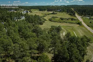 331 Grandwood Dr, Monument, CO 80132 - Photo 28