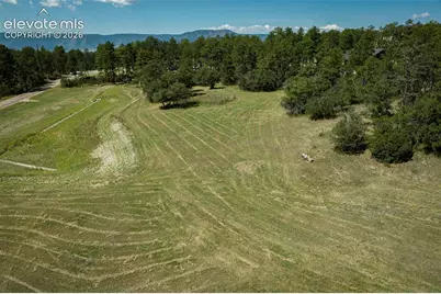 331 Grandwood Drive, Monument, CO 80132 - Photo 32