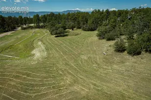 331 Grandwood Dr, Monument, CO 80132 - Photo 32