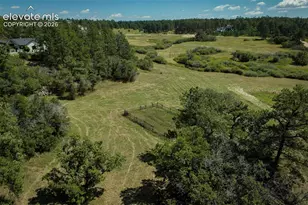 331 Grandwood Dr, Monument, CO 80136 - Photo 32