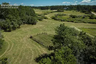 331 Grandwood Dr, Monument, CO 80136 - Photo 26