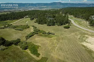 331 Grandwood Dr, Monument, CO 80132 - Photo 30