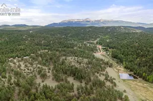 247 Pinewood Rd, Florissant, CO 80816 - Photo 28