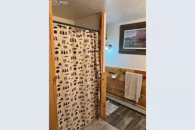 87 Thompson Road, La Veta, CO 81055 - Photo 32