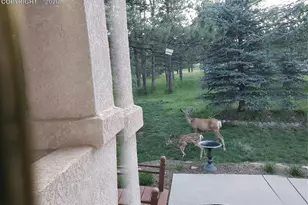 725 Lancers Ct, Monument, CO 80132 - Photo 38