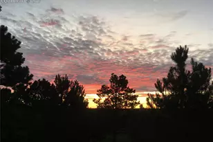 725 Lancers Ct, Monument, CO 80132 - Photo 40