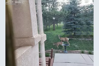 725 Lancers Court, Monument, CO 80132 - Photo 38