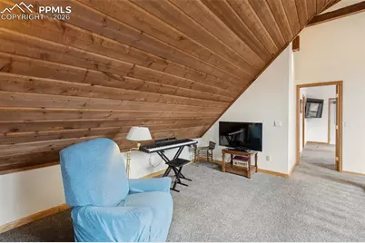 200 Sun Ridge Court, Woodland Park, CO 80863 - Photo 30