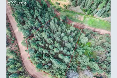 490 Willow Road, Divide, CO 80814 - Photo 2