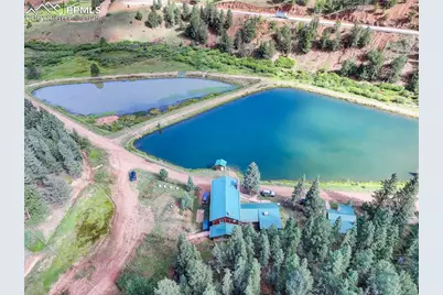 490 Willow Road, Divide, CO 80814 - Photo 10